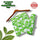 2 Pcs Women's Unstitched Printed Suit